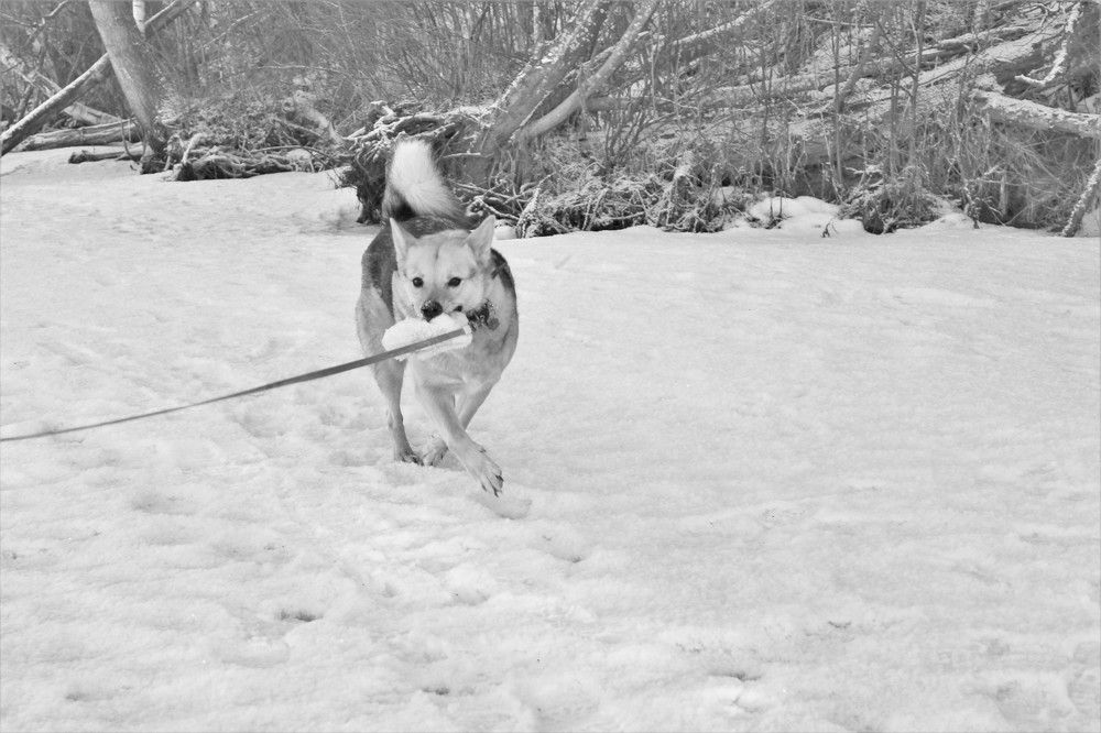 Photograph by Екатерина Апрелева