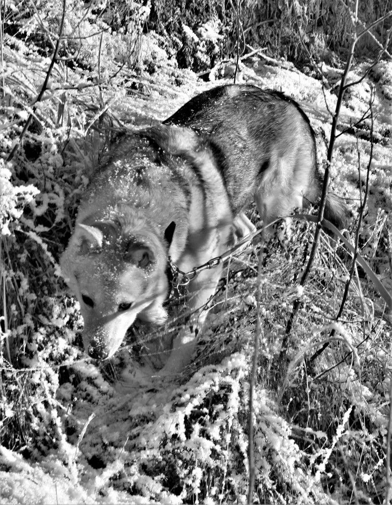 Photograph by Екатерина Апрелева