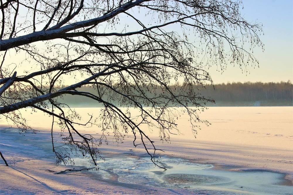 В Погоне за Прекрасным