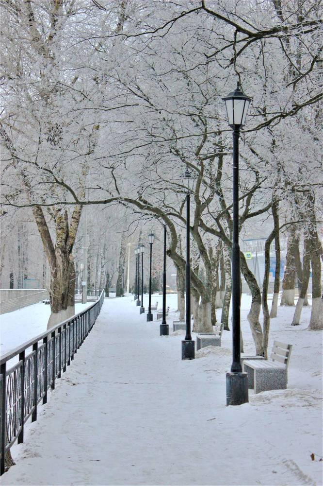 В Погоне за Прекрасным