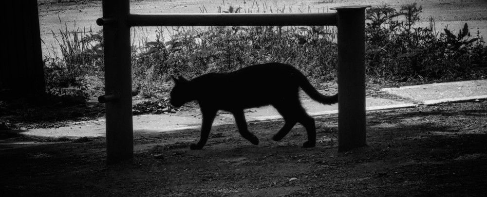 Photograph by Дмитрий Леонтенко