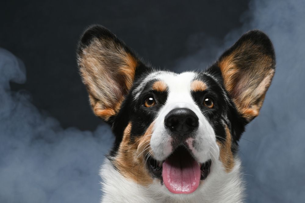 Photograph by Сергей Вальков