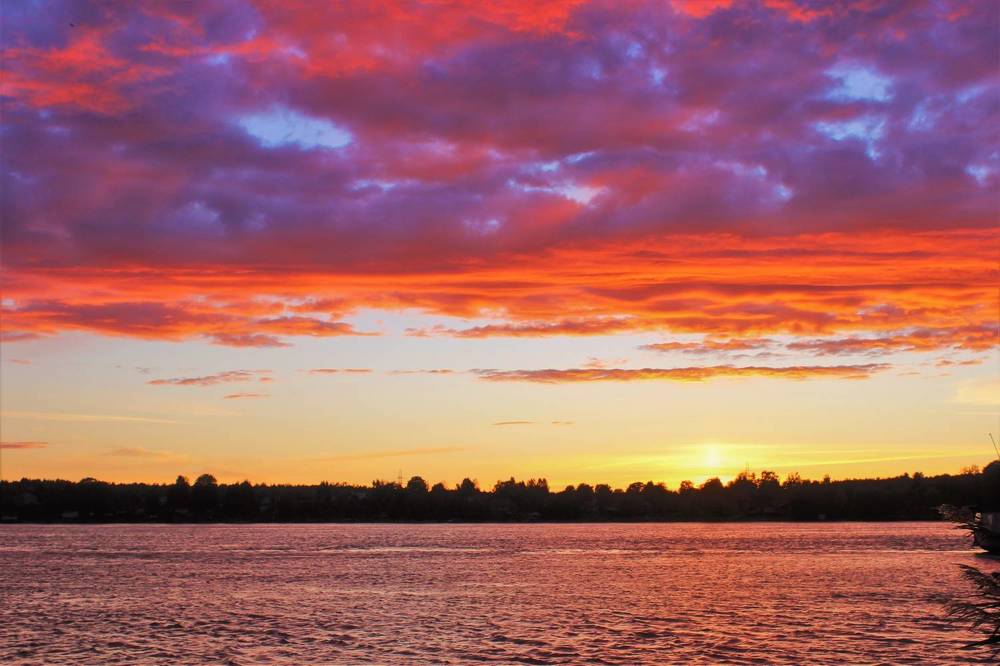 В Погоне за Прекрасным