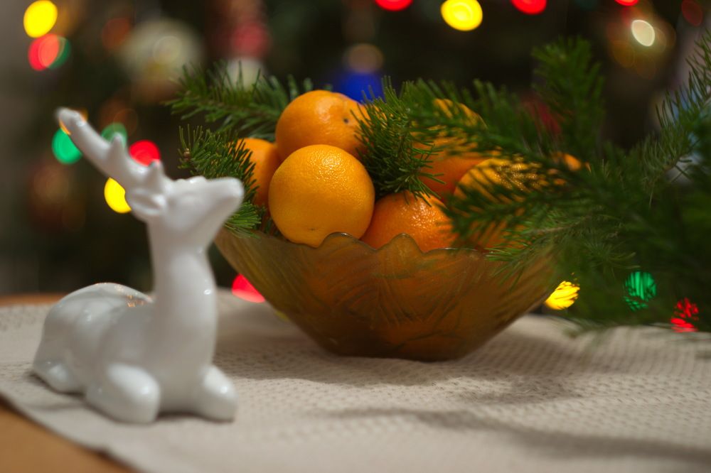 Photograph by Frolova Tatyana