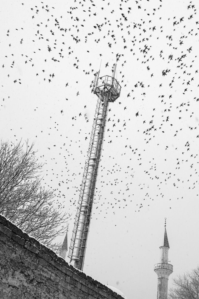 Photograph by Елена Покрепа