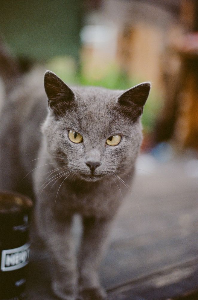 Photograph by Дмитрий Ефимов