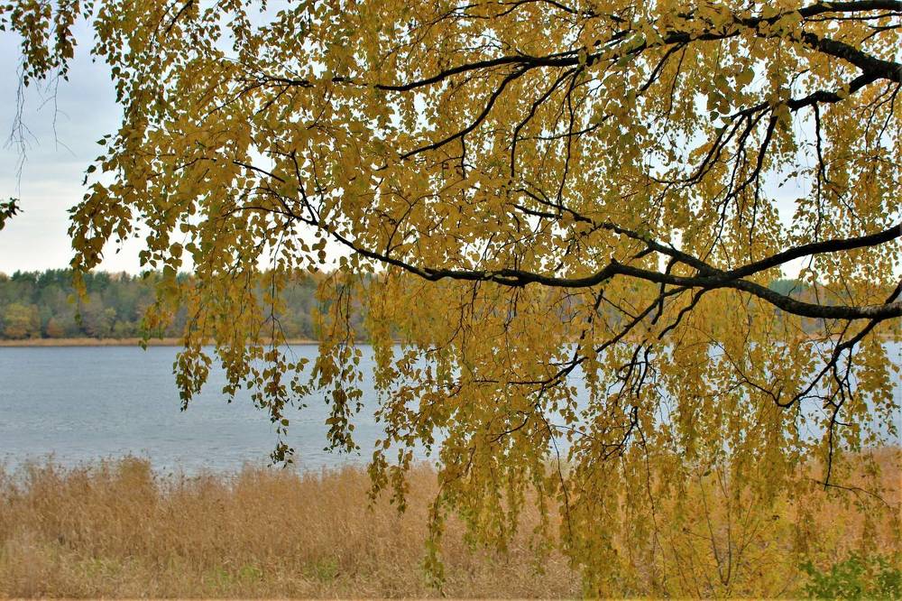 В Погоне за Прекрасным