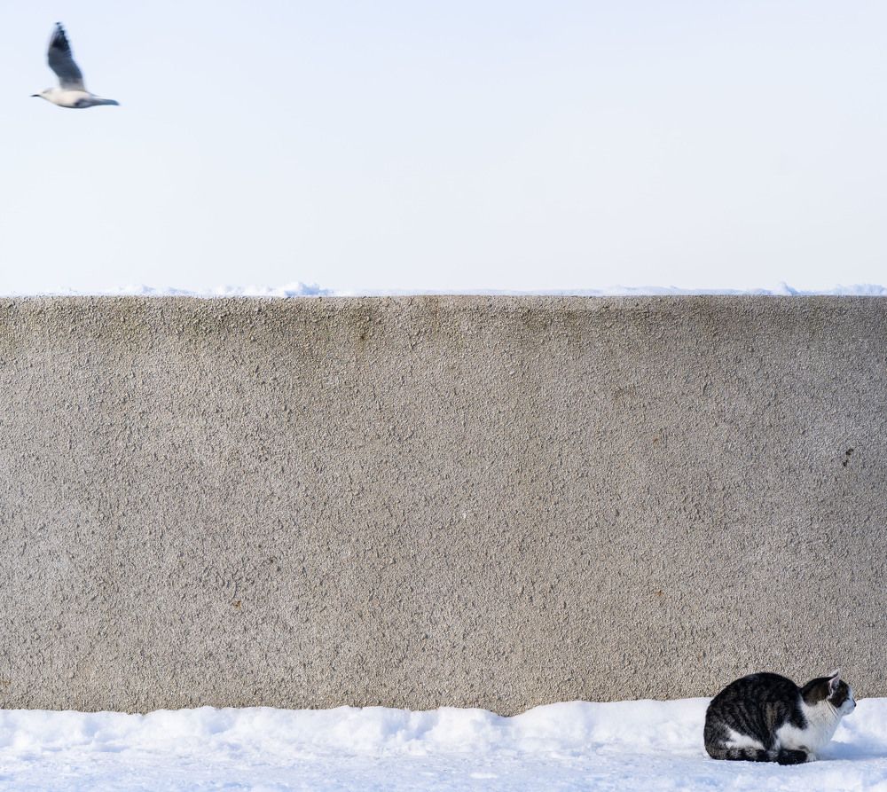 Photograph by Владислав Шаповалов