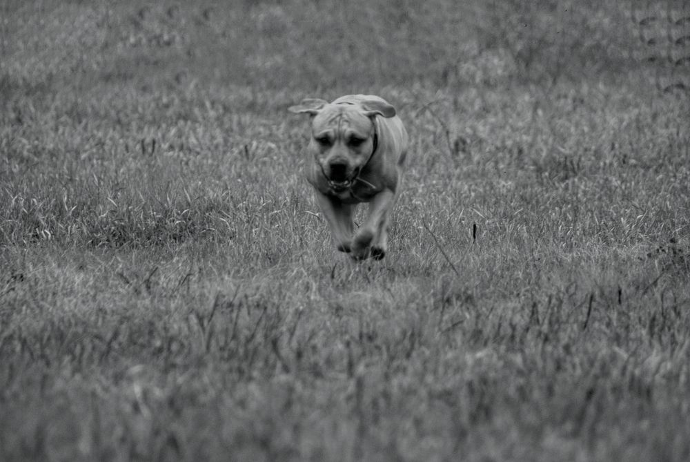 Photograph by Ольга Малина