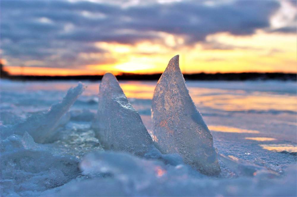 В Погоне за Прекрасным