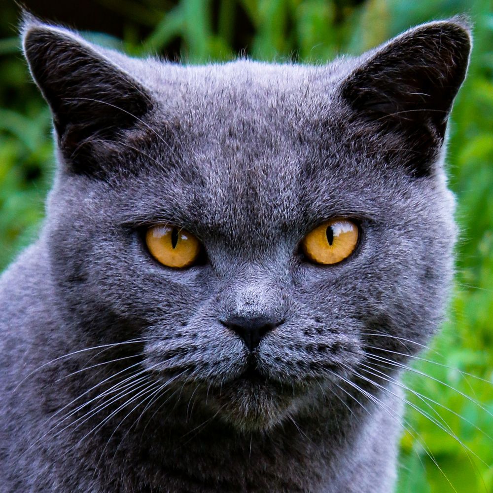 Photograph by Мария Корнилова