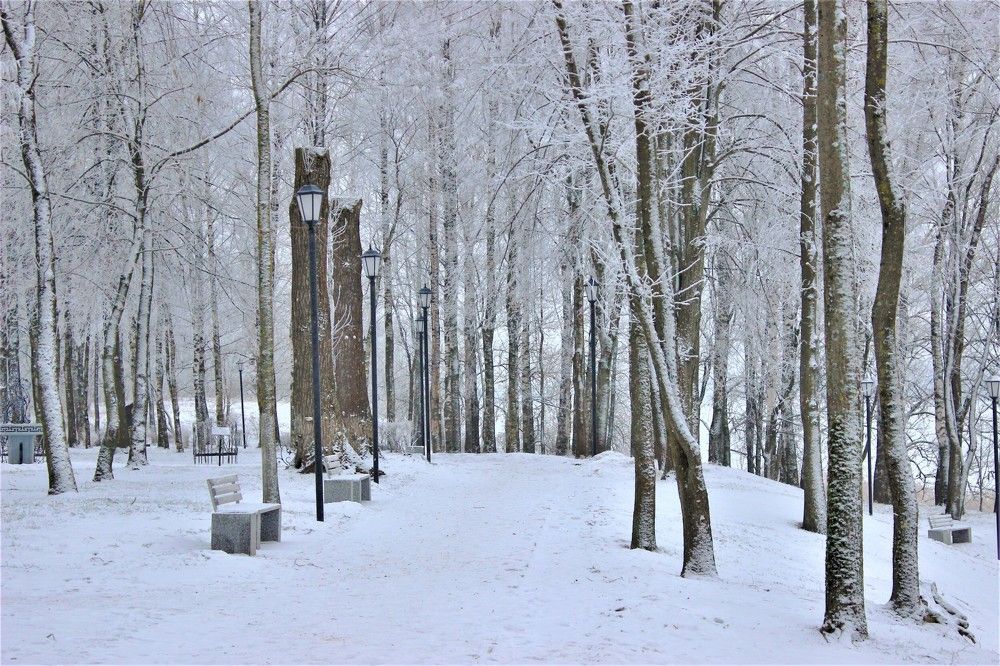 Photograph by Екатерина Апрелева