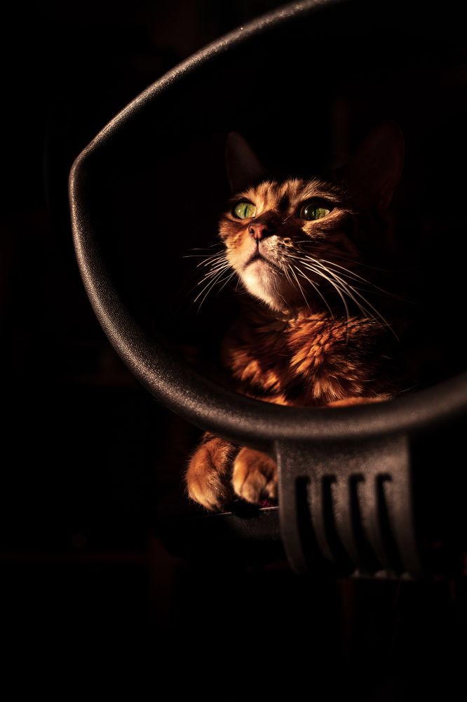 Photograph by Damir Sadekov