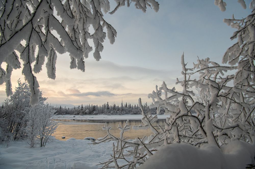 Photograph by Юрий Платухин