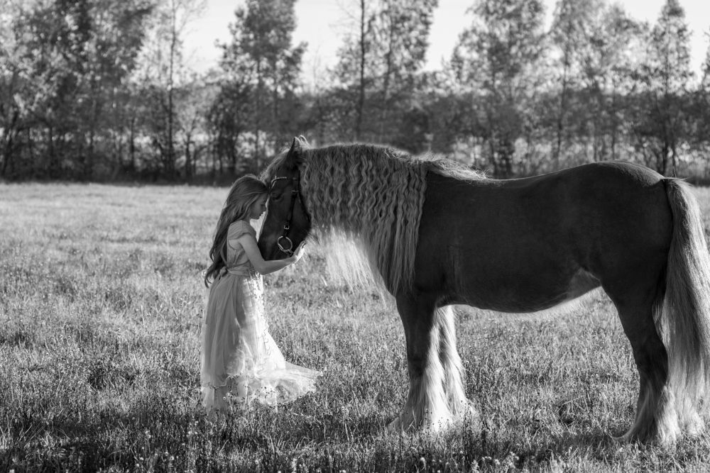 Photograph by Елена Пчелкина