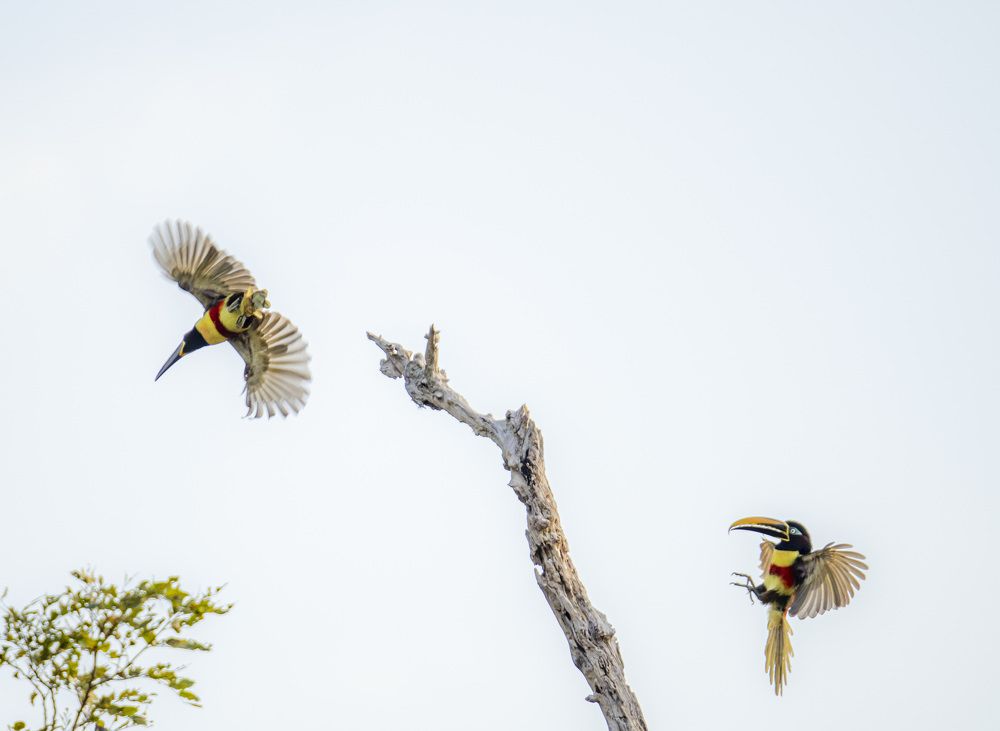 Photograph by EDWIN GUERRERO