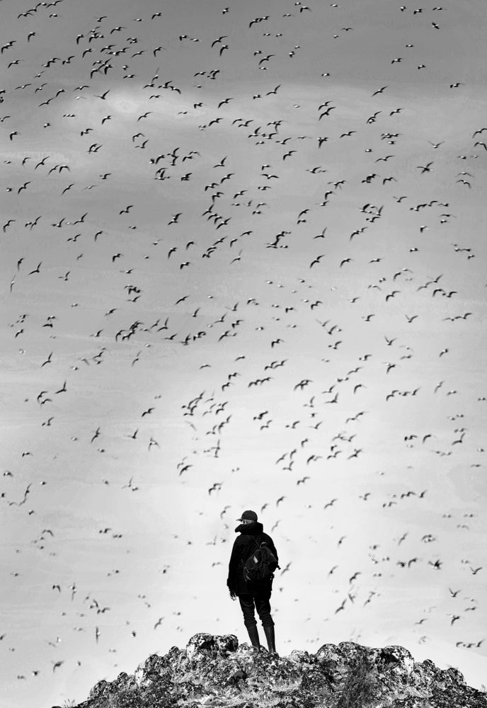 Фотография автора Мария Трофимова