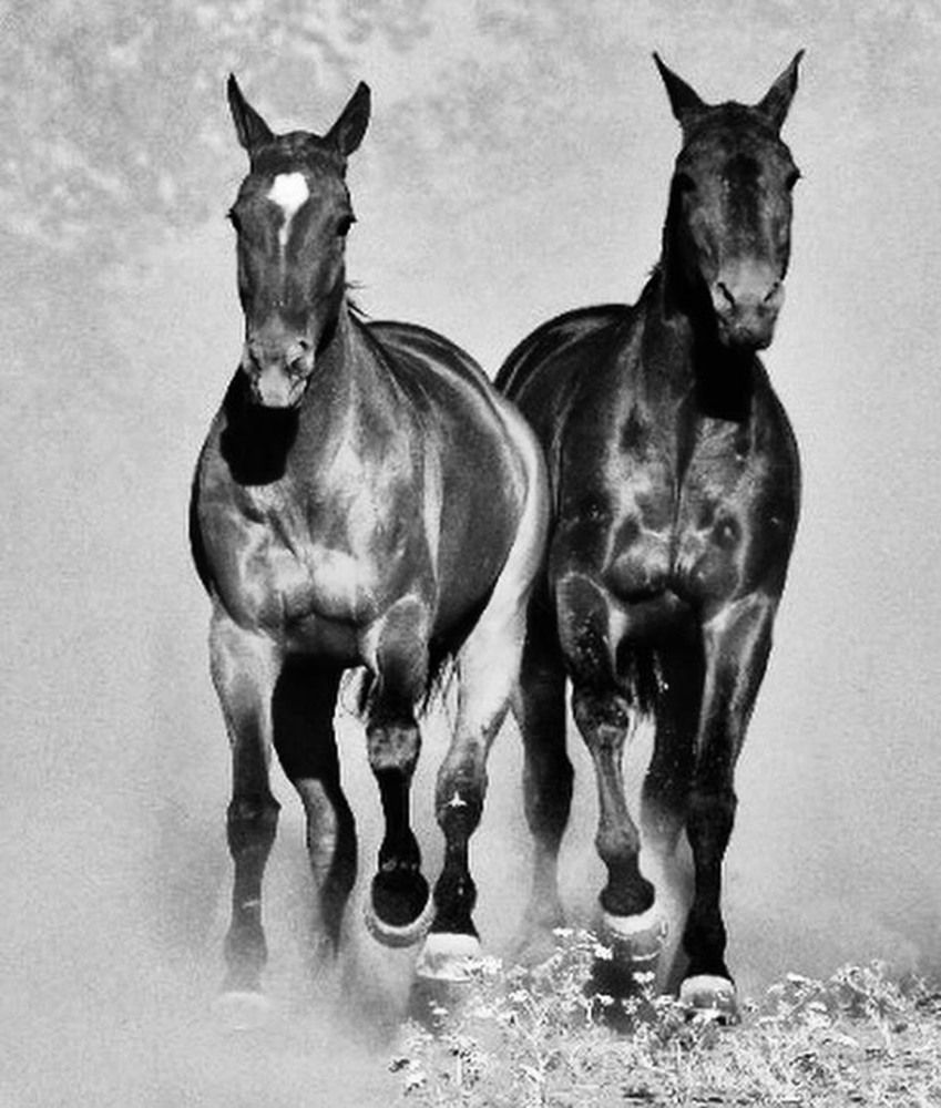 Photograph by Rosana Moyano