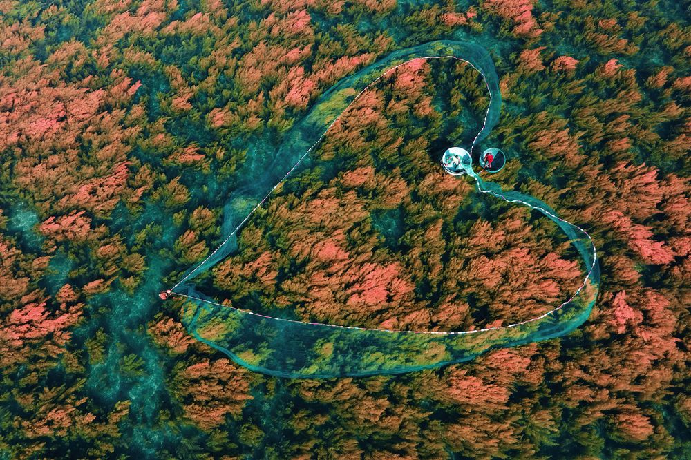 Photograph by Nguyen Ngoc Tuan