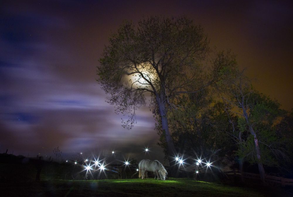 Фотография автора Мария Трофимова