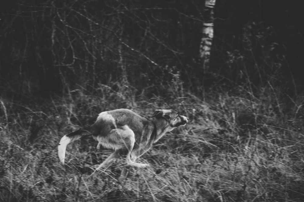 Photograph by Елена Федорова
