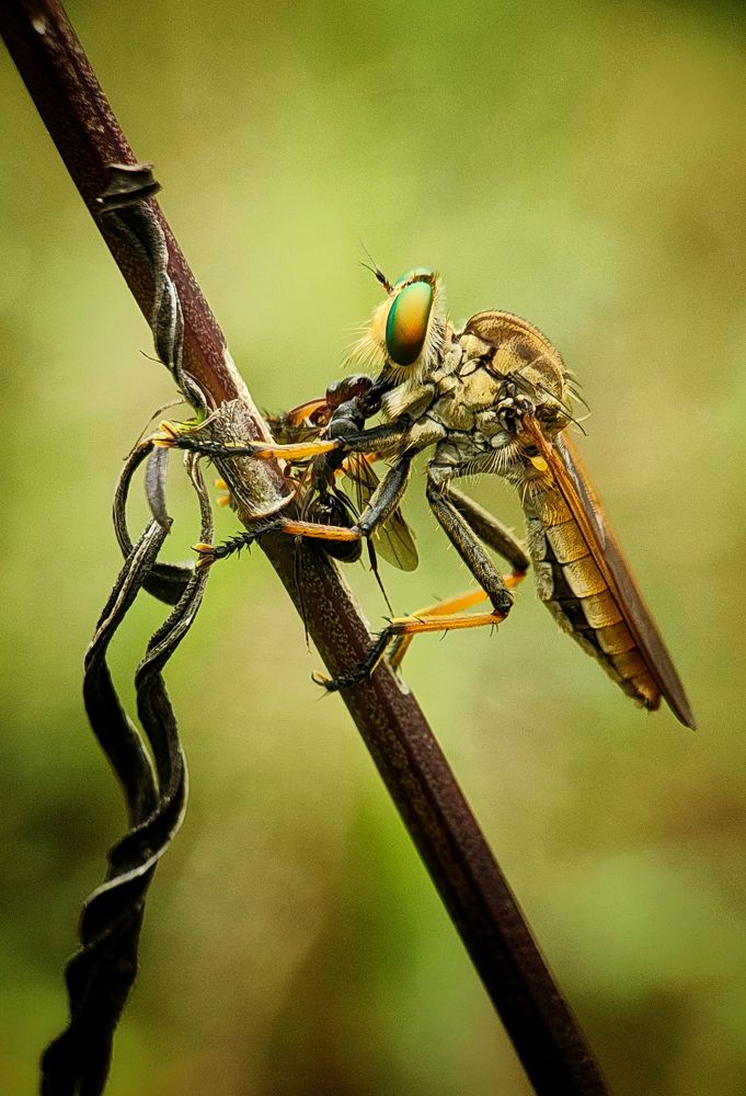 Photograph by Tanjung Syahrian