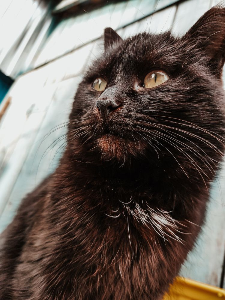 Photograph by Зульфия Вакилова