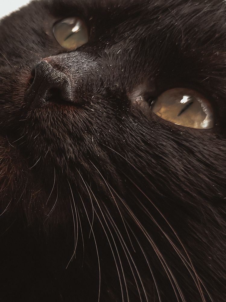 Photograph by Зульфия Вакилова