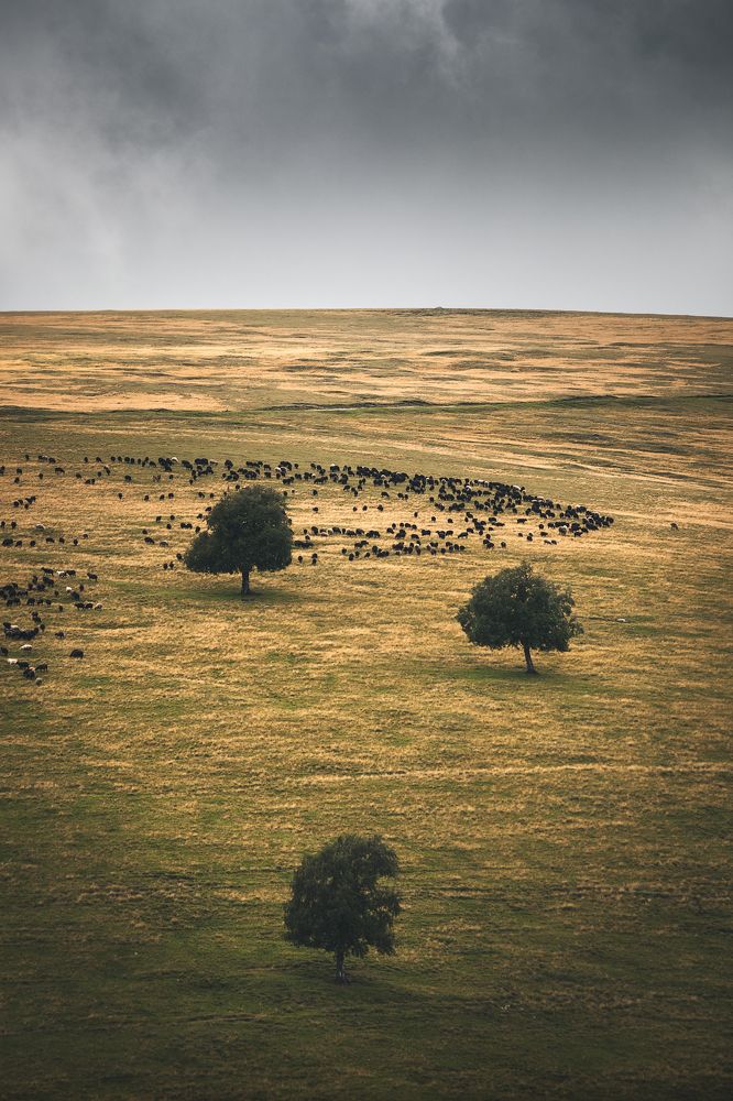 Photograph by Евгения Ботова