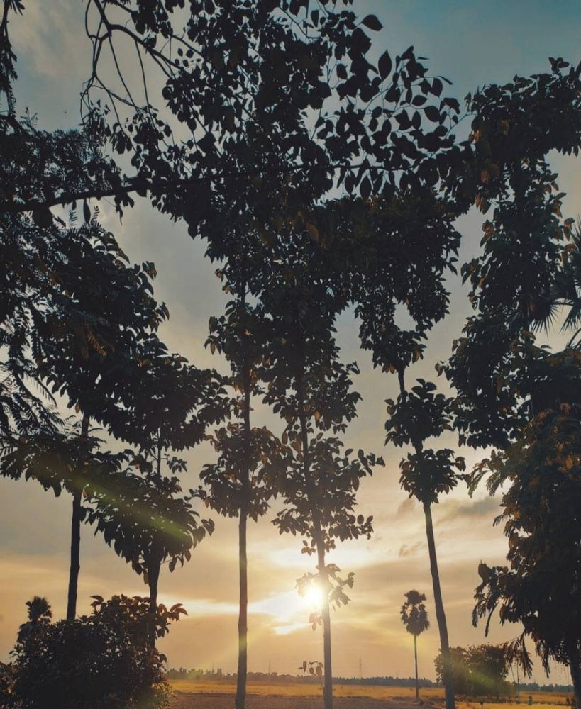 Photograph by Shamim Islam Mirdah