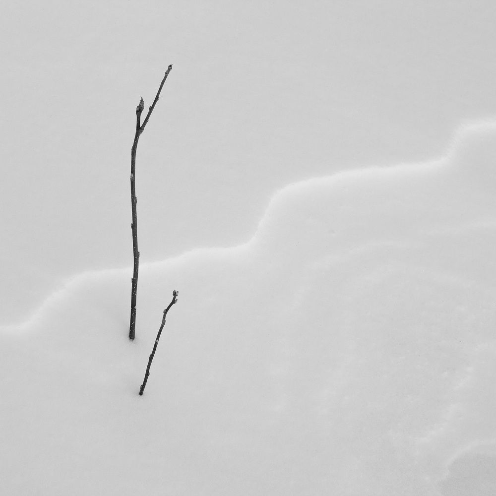 Фотография автора Игорь Русанов