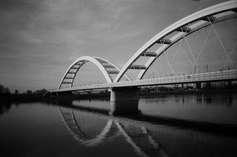 Photograph by Alexey Praprin