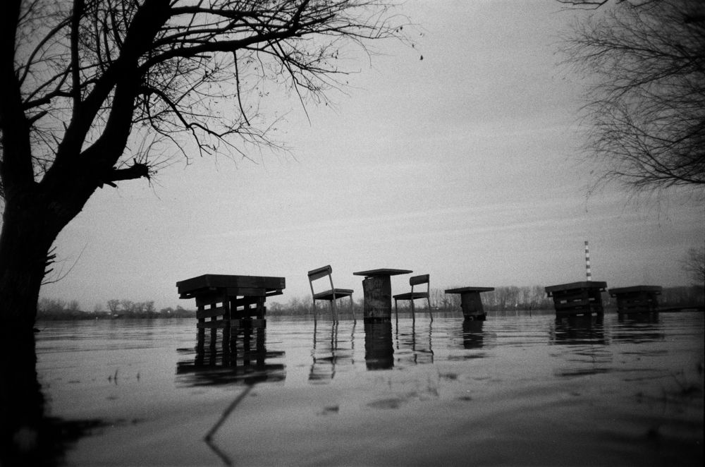 Photograph by Alexey Praprin