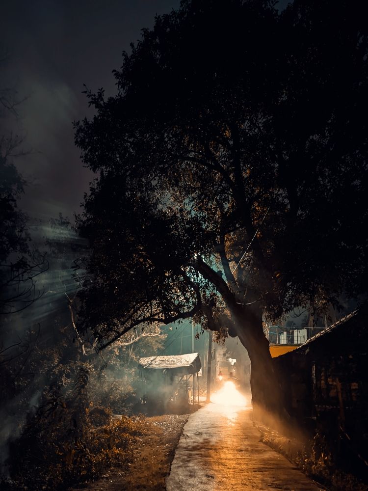 Photograph by Shamim Islam Mirdah