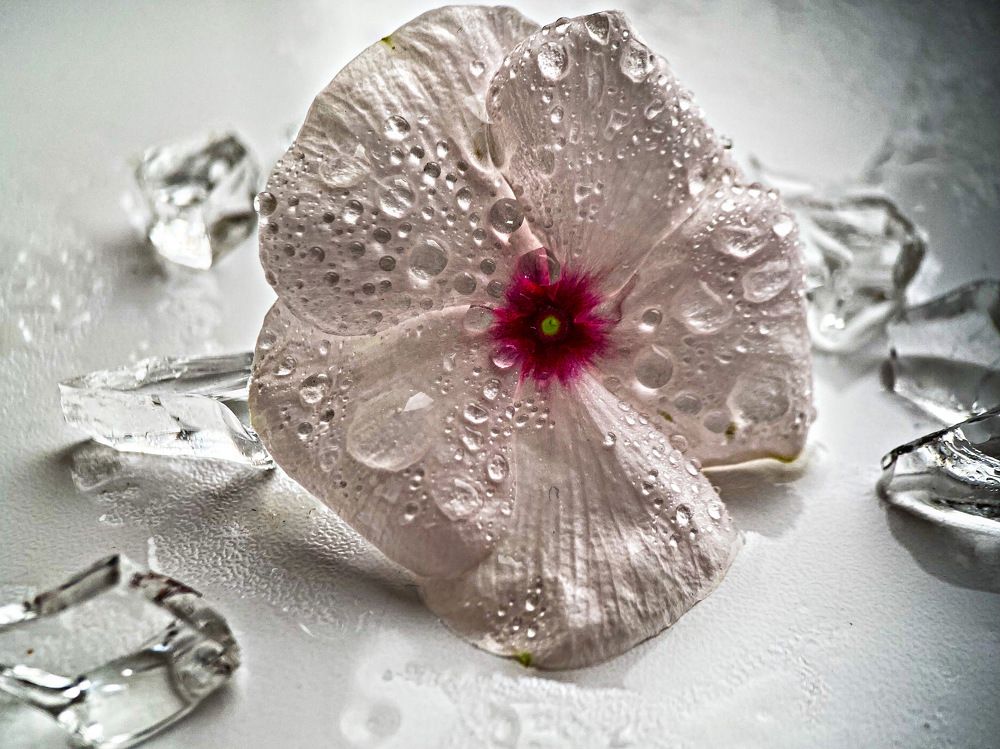 Photograph by Александра Гонтарь