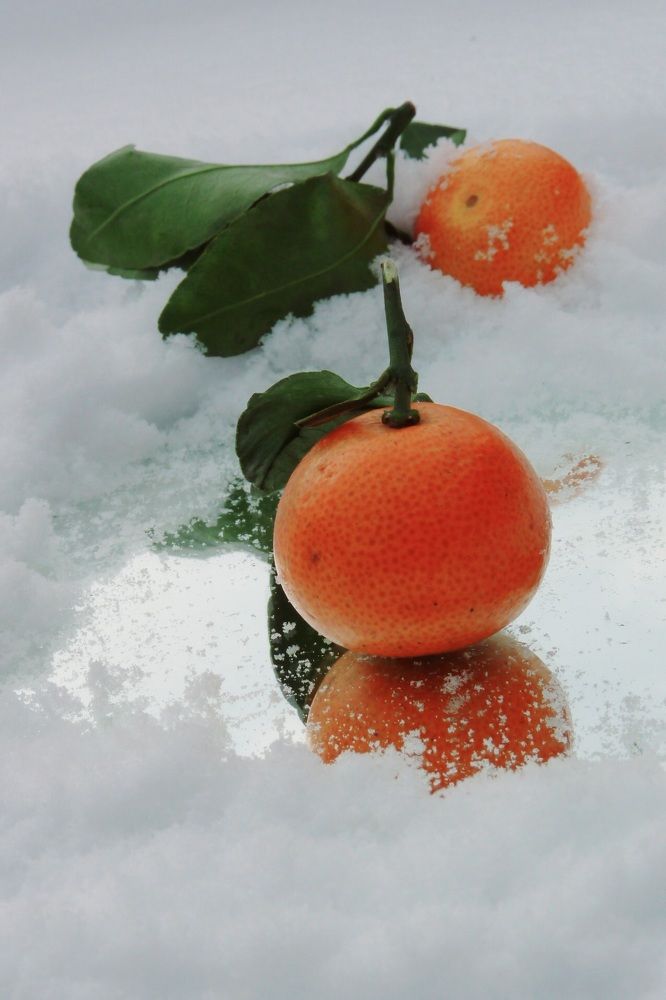 Photograph by Ирина Петракович