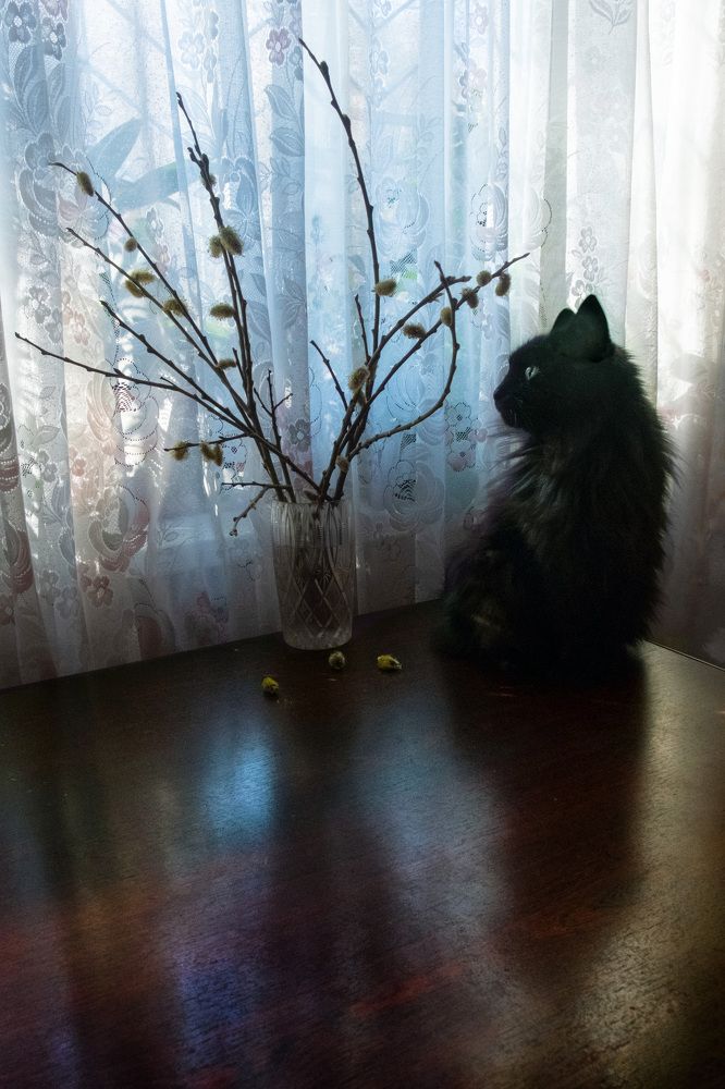 Photograph by Светлана