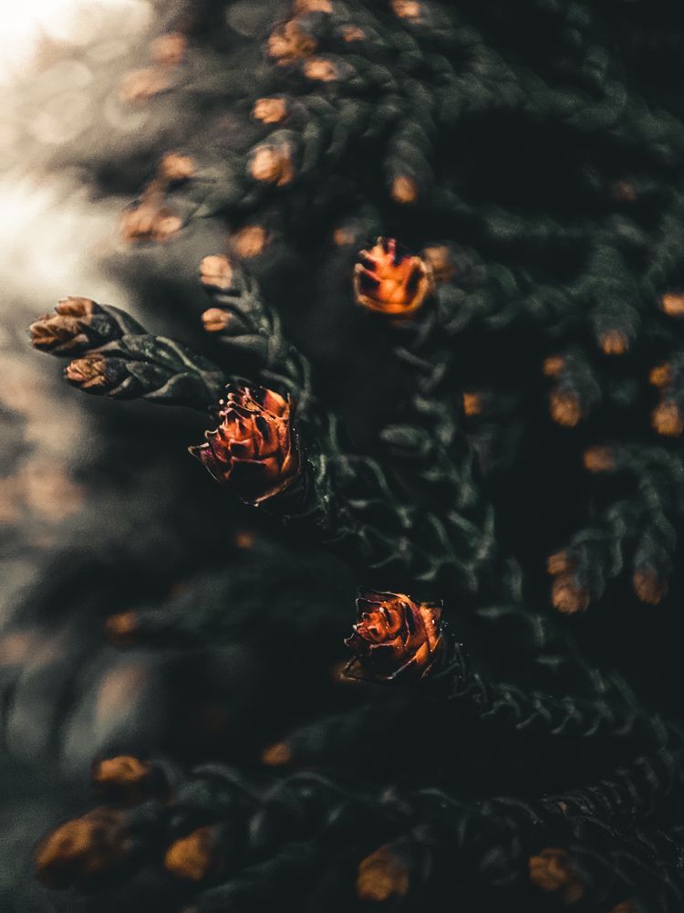 Photograph by Damir Sadekov