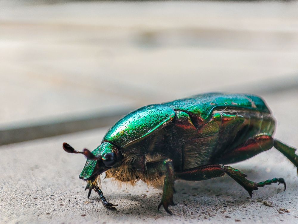 Photograph by Damir Sadekov