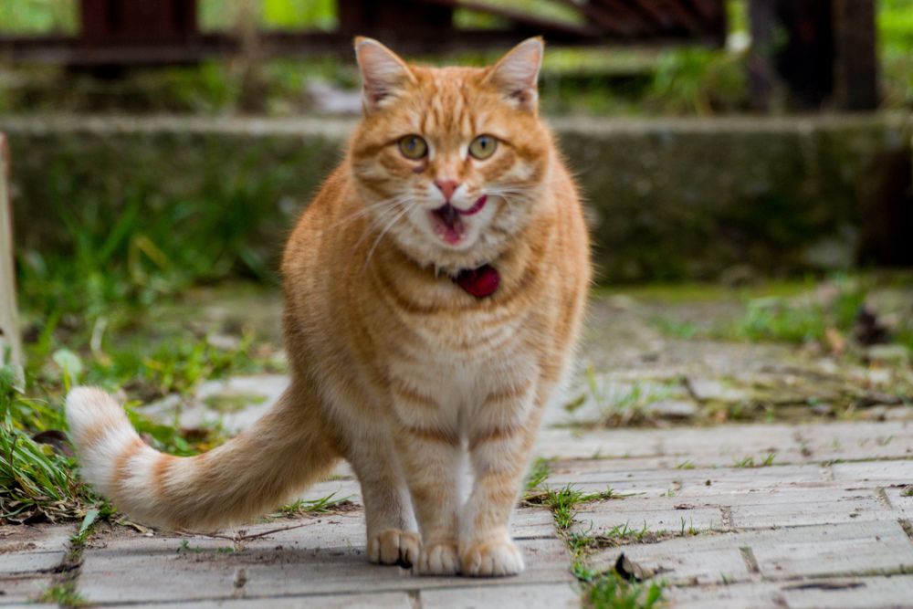 Photograph by Ольга