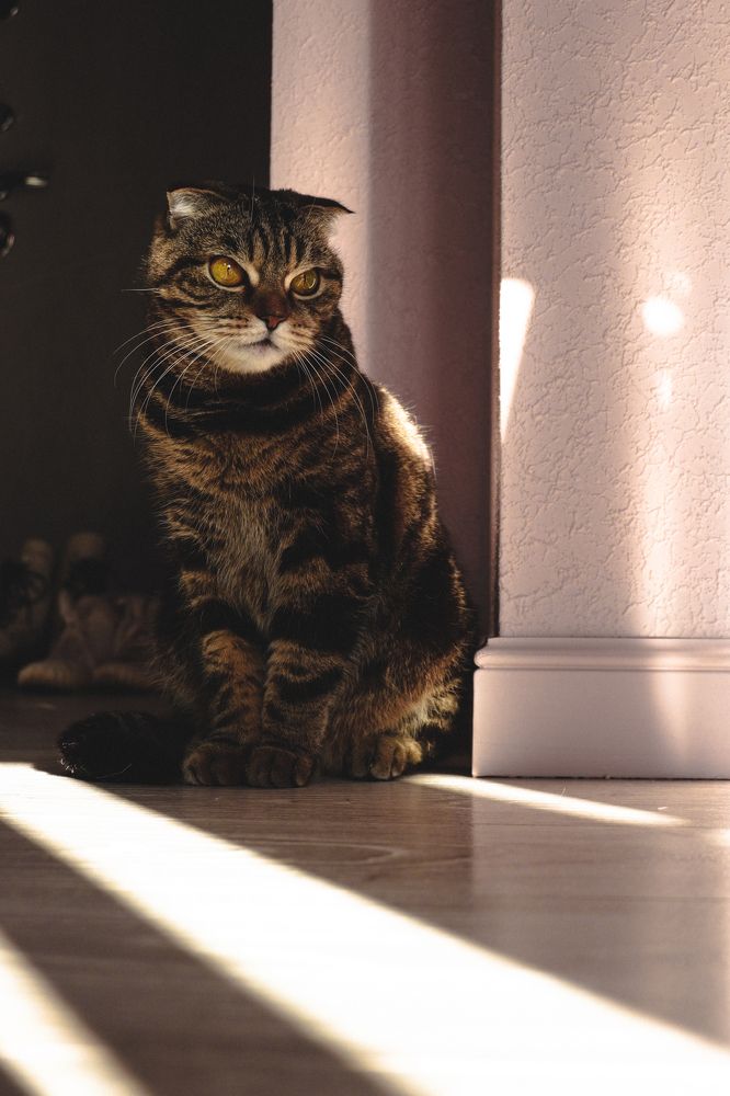 Photograph by Soul Siberia