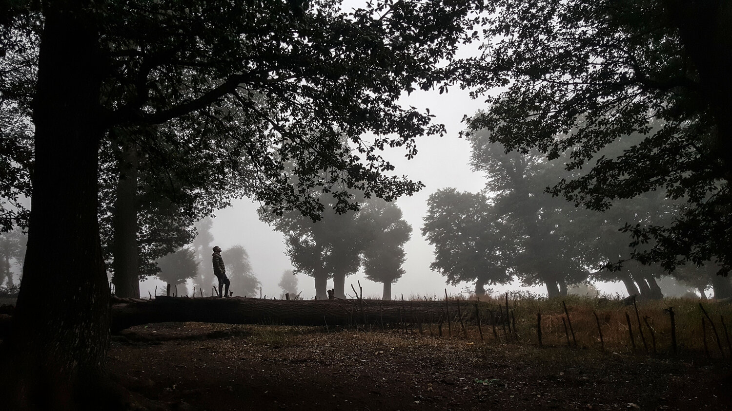 Photo #8790810