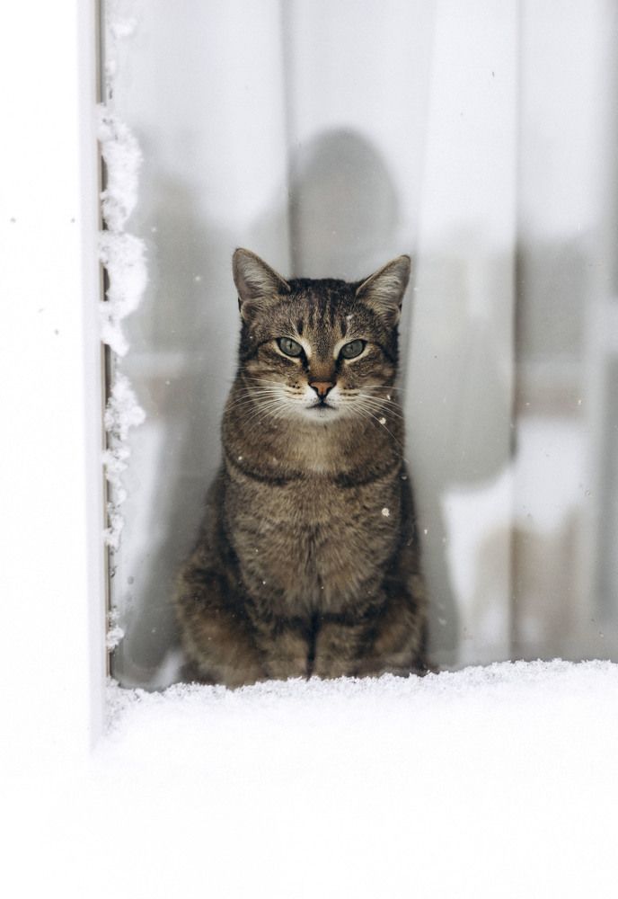 Photograph by Наталья Шиневская