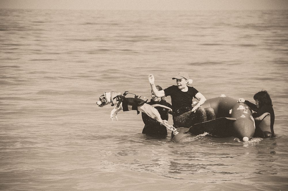 Photograph by Ольга