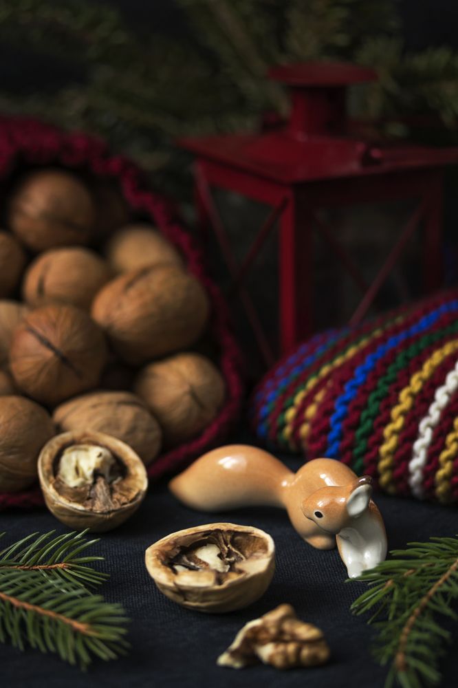 Photograph by Елена Коврижных