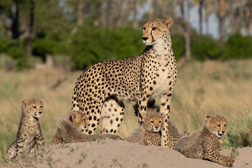 Photograph by Raquel Barao