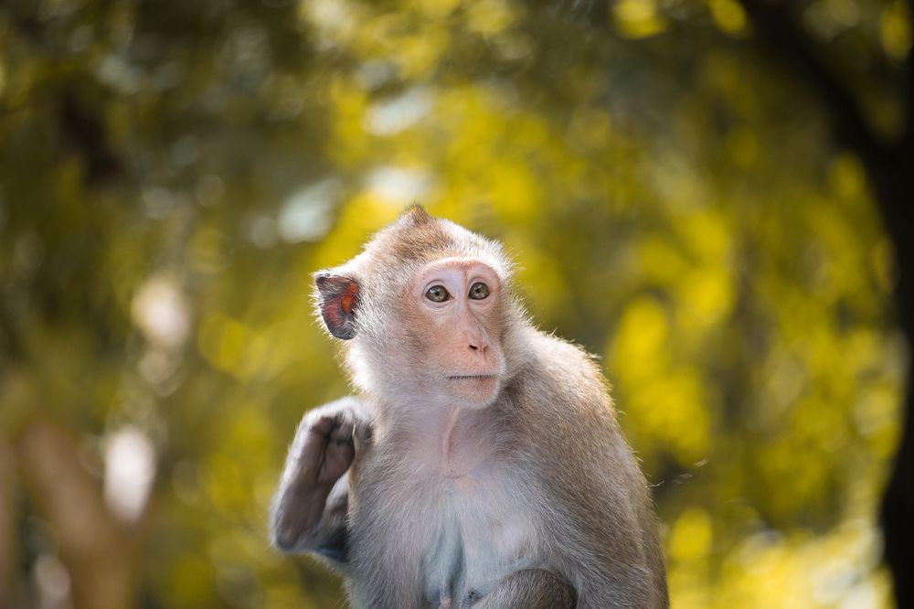 Photograph by TRUNG NGHIA NGUYEN