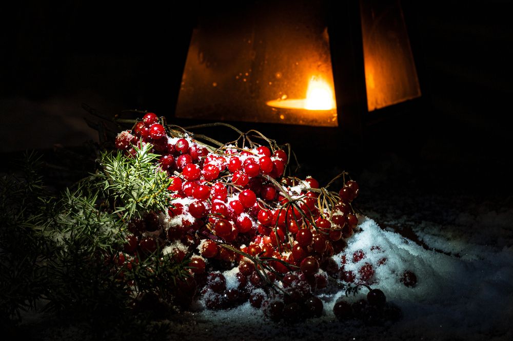 Photograph by Елена Овчинникова