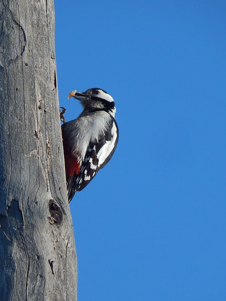 Photograph by Татьяна