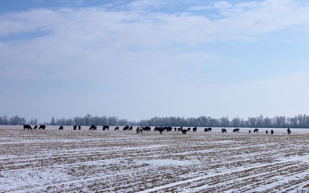 Photograph by Юрий Варюхин